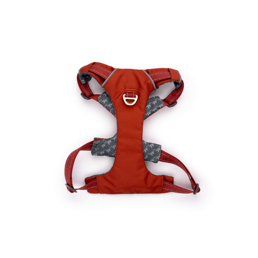 Winchester Comfort Fit No-Pull Padded Dog Harness, Ketchup - Image 2